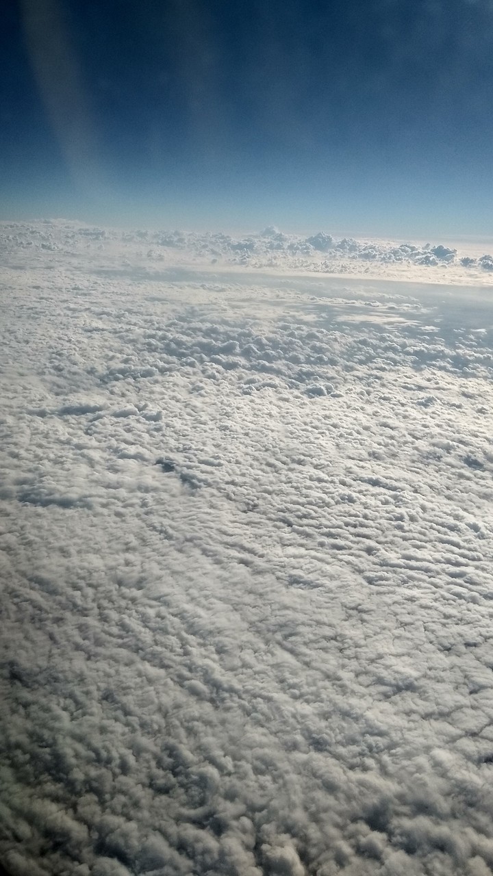Fly as high like an eagle