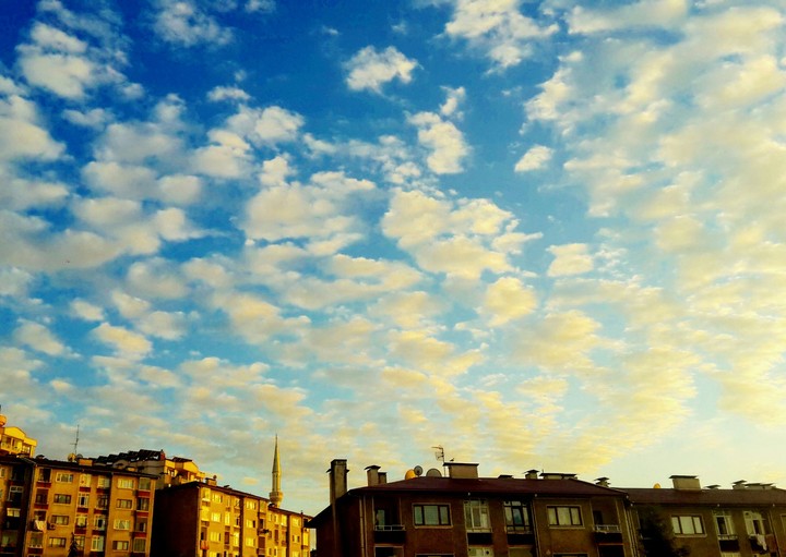 A beautiful afternoon
