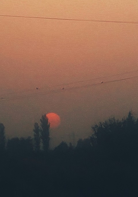 Sunset Sorrow
