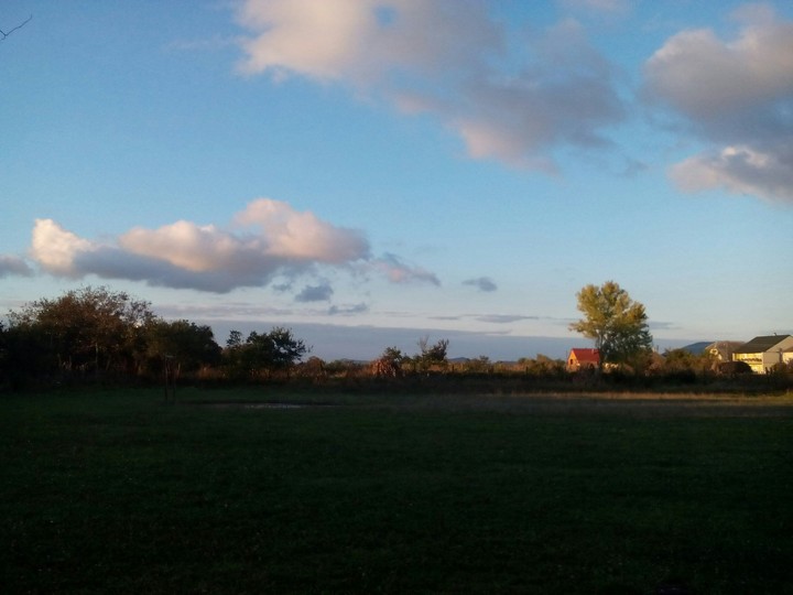 Horizon