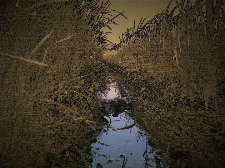field