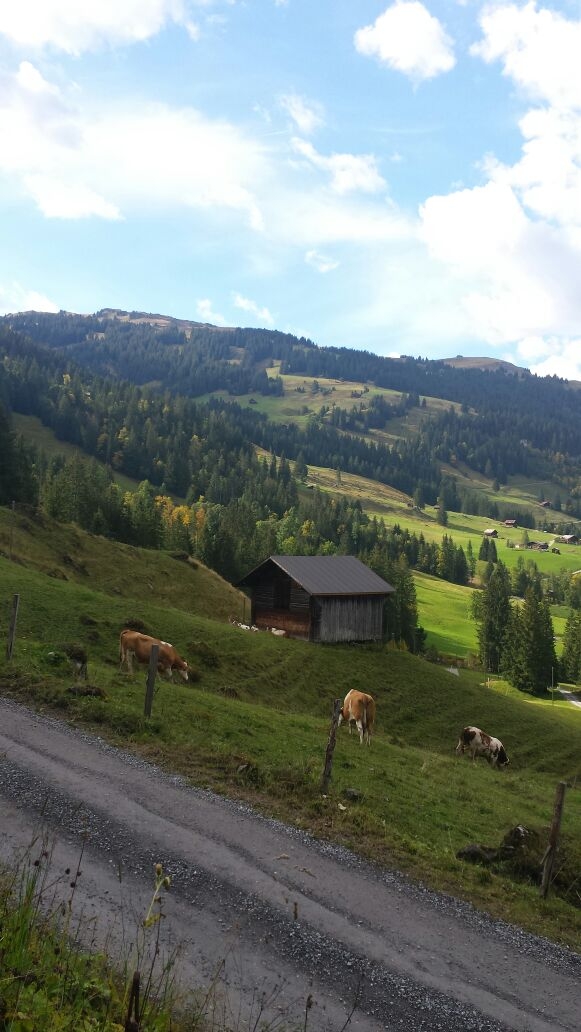 Schweiz