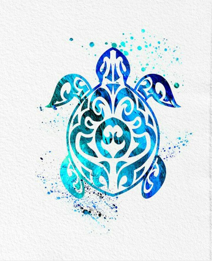 turtle