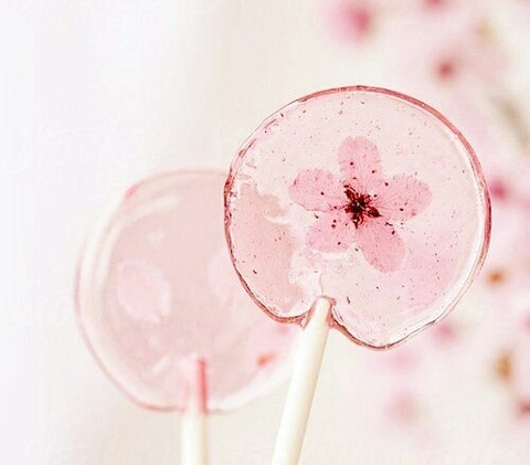 sfondi flower, blossom