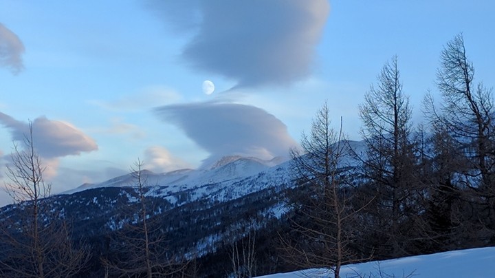 winter landscape