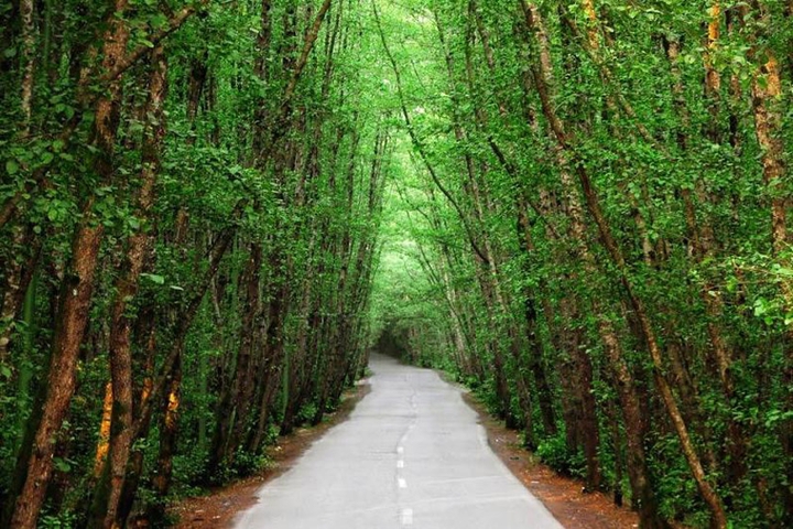 Talesh