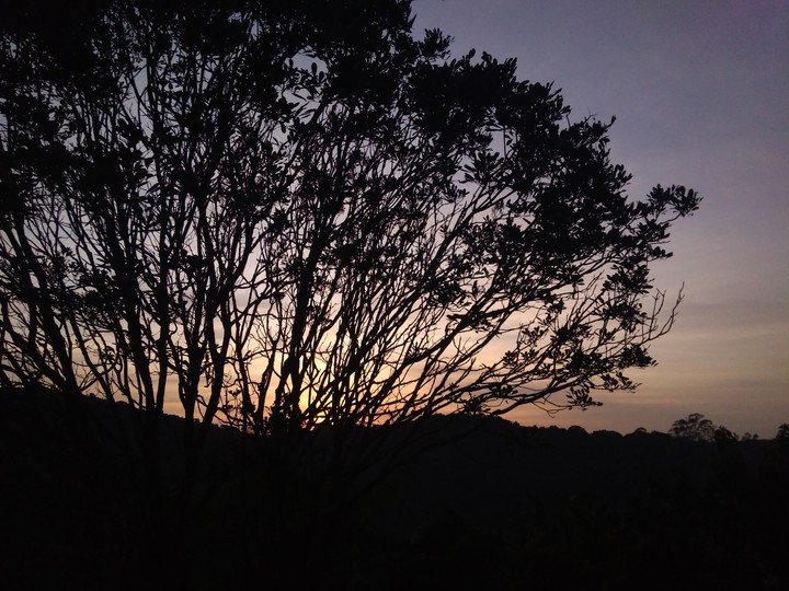 nascer do sol