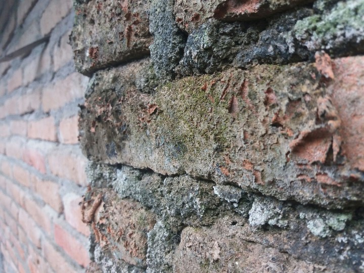 Wall