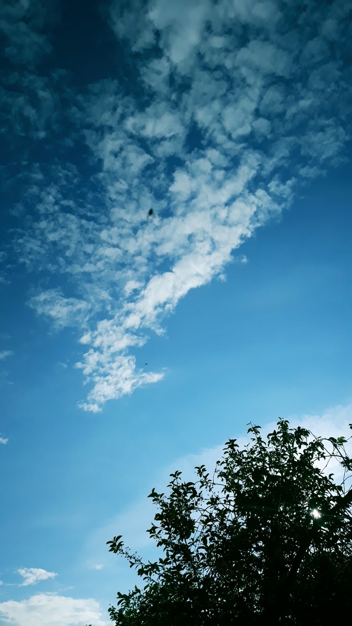 sky?