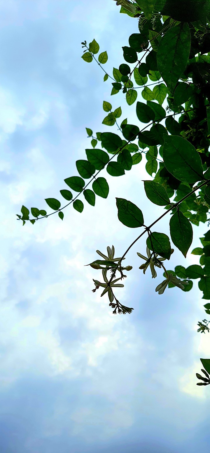 cloudy sky