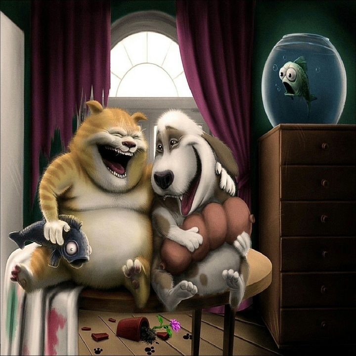 Cat and Dog