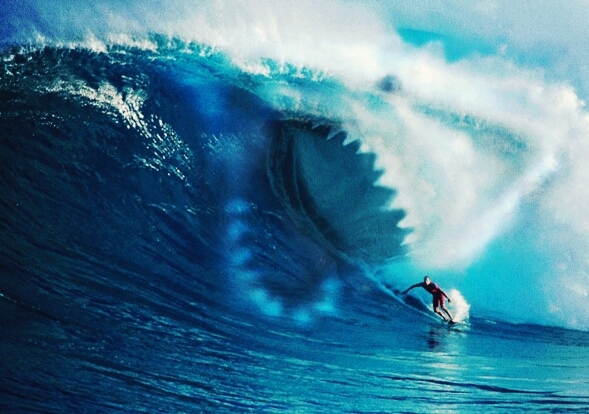 Shark Waves !!!!!!