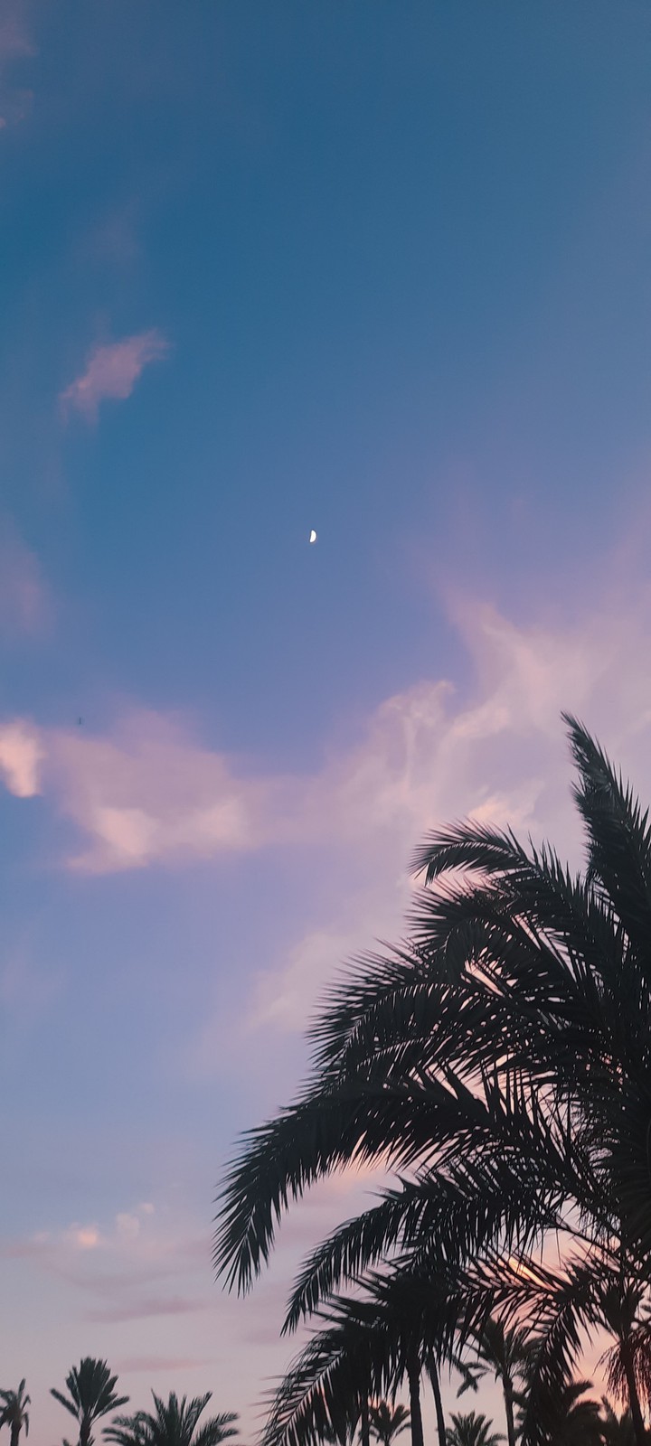 Summer sunset