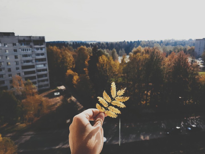 Autumn