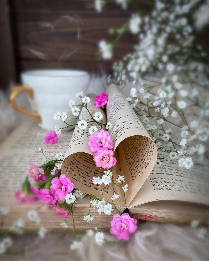 Stilllife