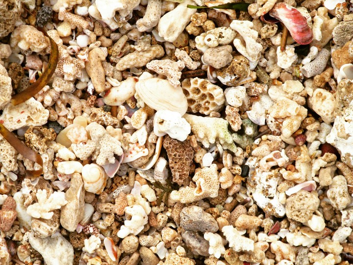 beach sand