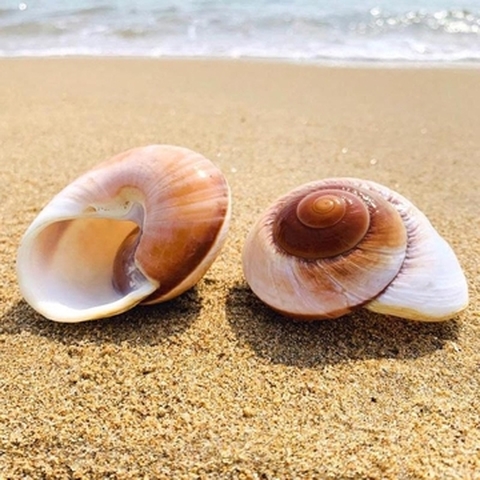 Natura