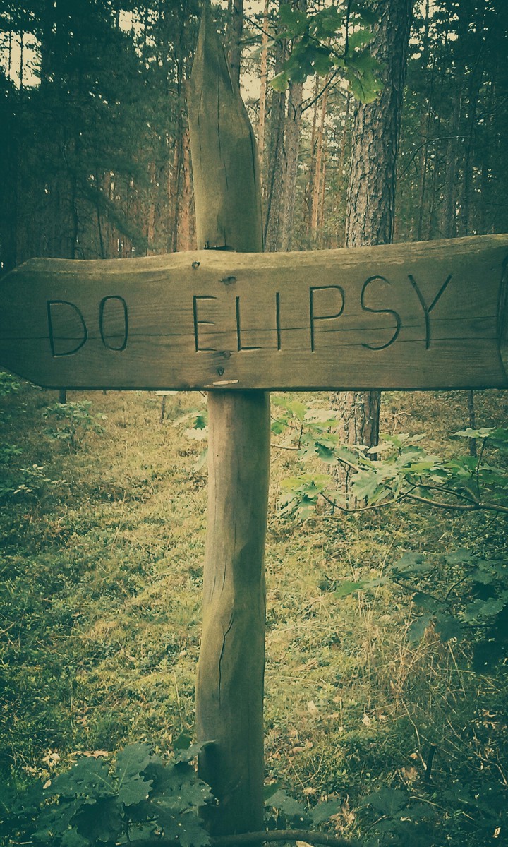 elipsa