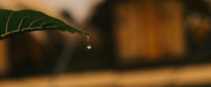 watar drop