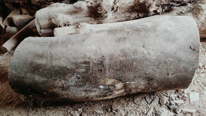 wood