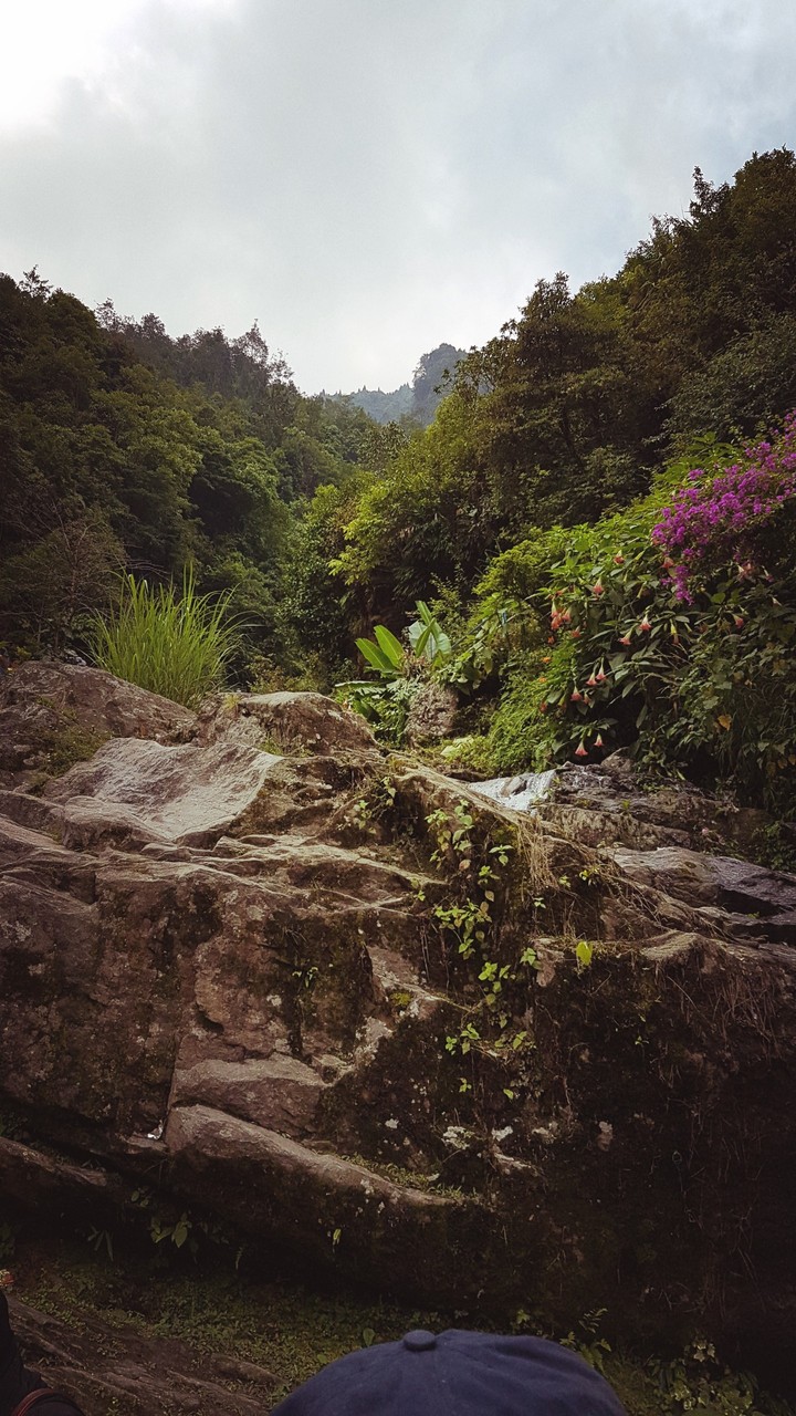 Nature