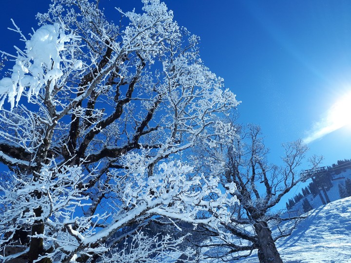 Schneewelt