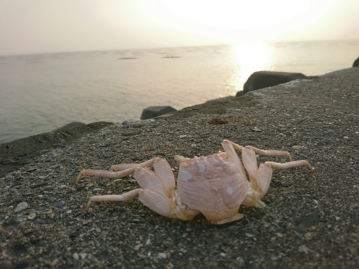 凝視