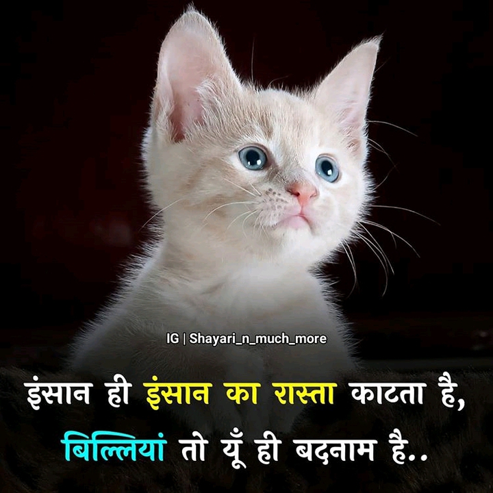 sayri