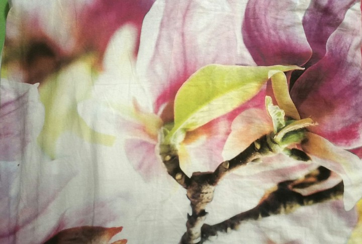 Blume
