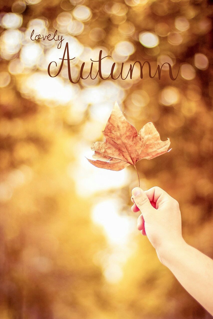 AuTumN ...