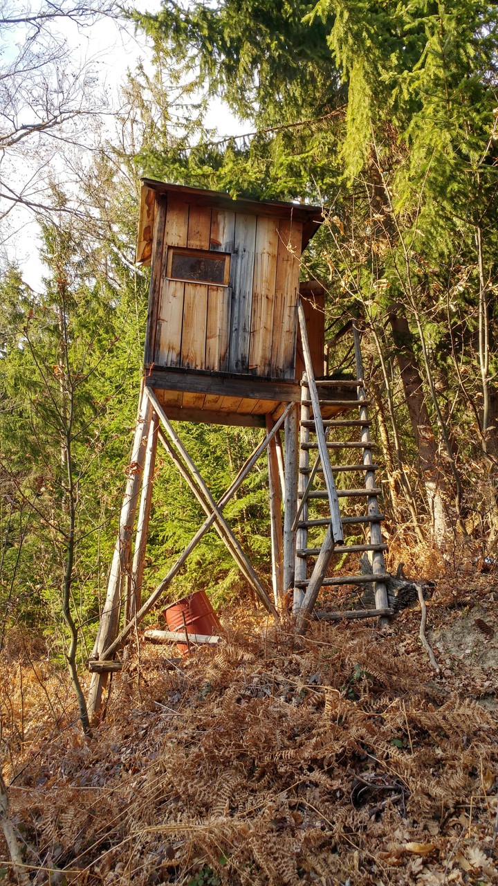 watch tower