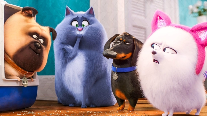 Pets
