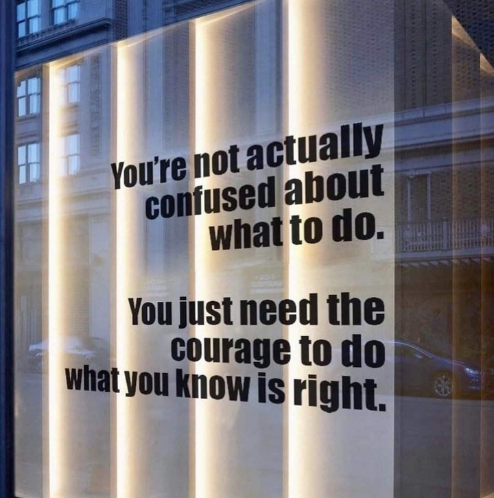 motivation