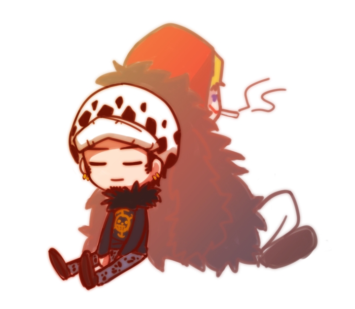 Donquixote Rocinante x Trafalgar D water Law