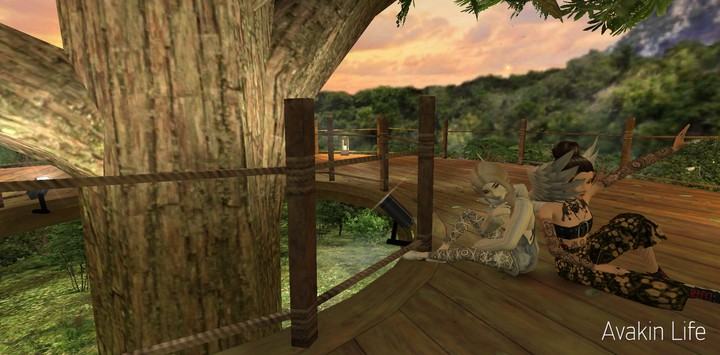 Avakin life