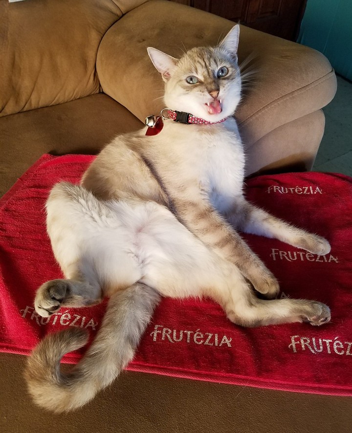 Nina