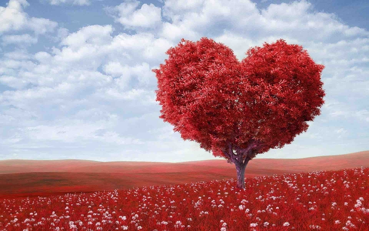 heart tree