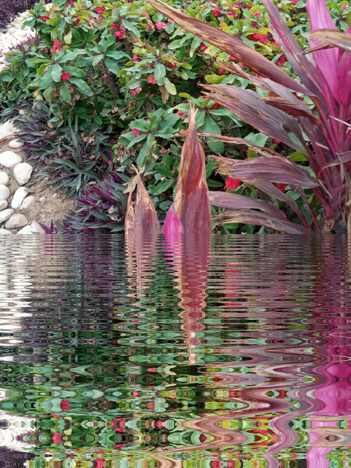 nature
