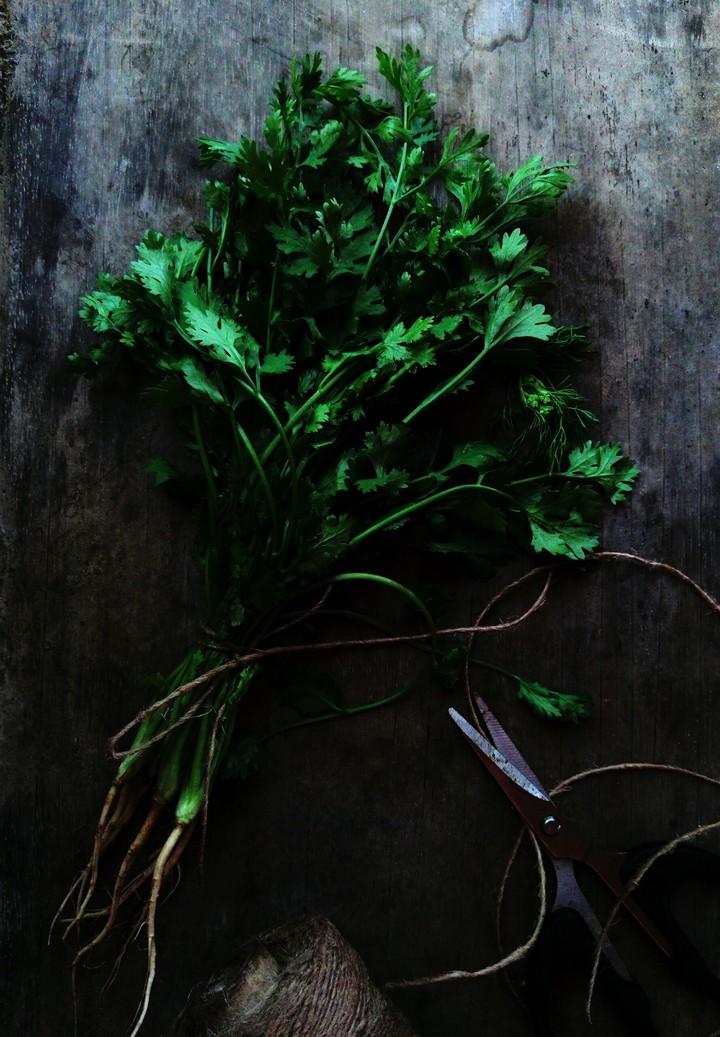herbs