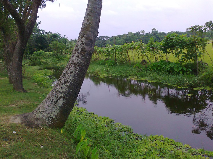beautiful village nature