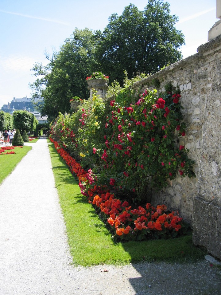 Surrounding Wall