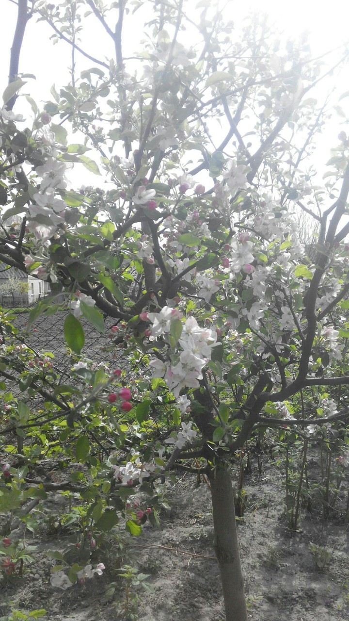 Смотрю и радуюсь...
