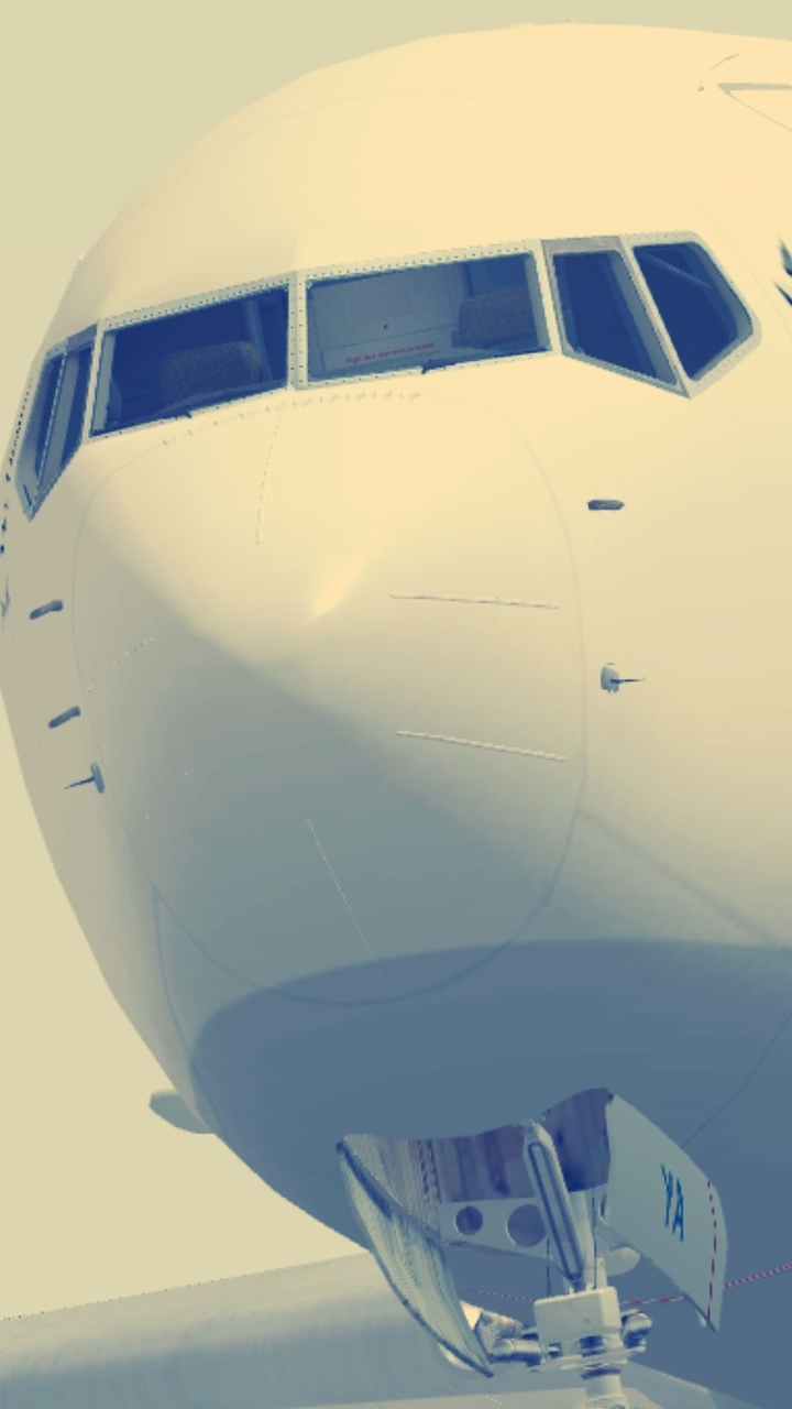 fly
