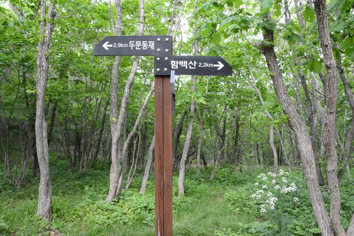 함백산이미지