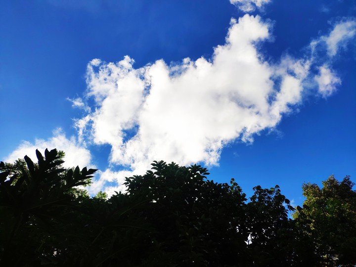 Afternoon