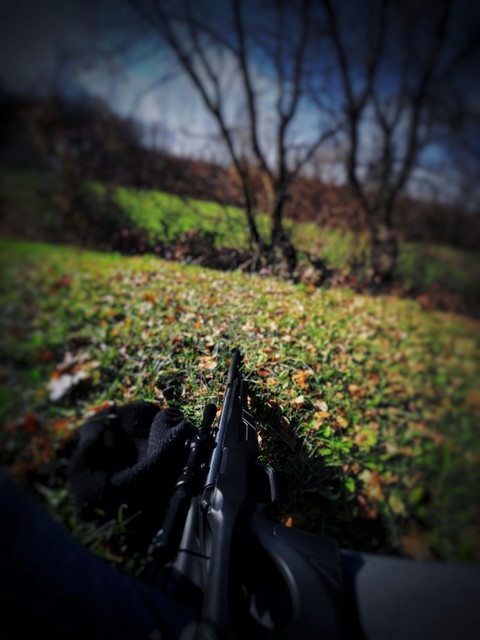 Sunday