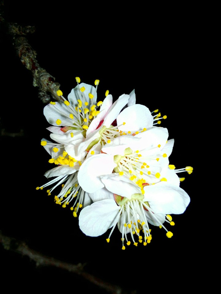 природа