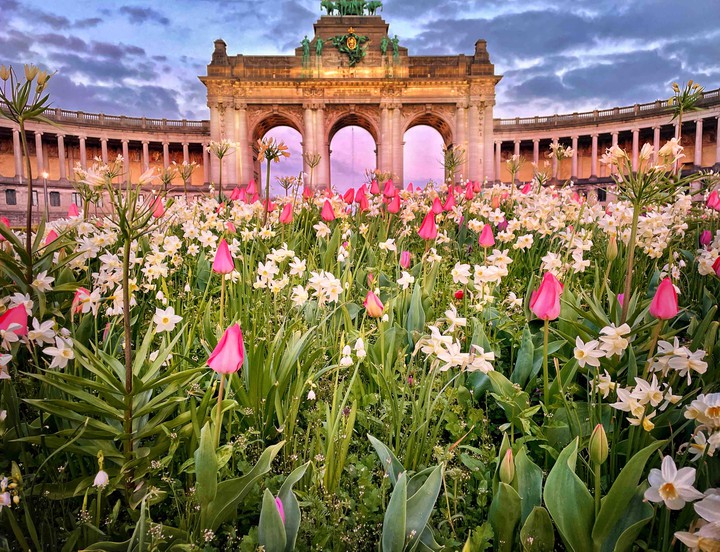 An evening in Spring
