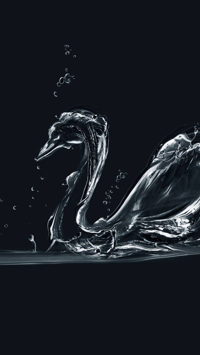 swan