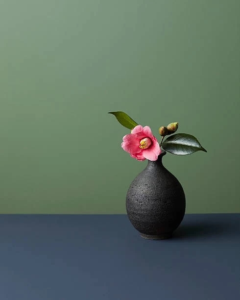 camellia ikebana -- wabi sabi